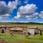 puno countryside beautiful green landscape with llama and huts