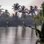 kerala backwaters.jpeg