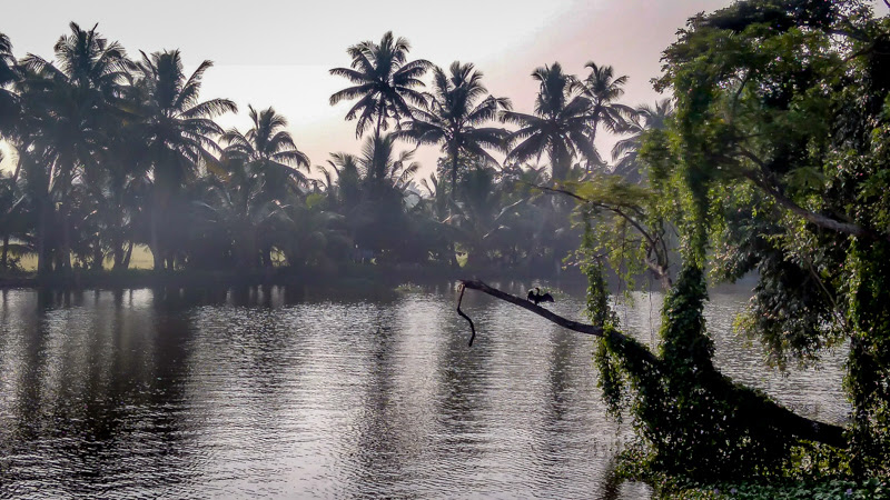 My Love and Hate Relationship With the Colorful India – A Photo Diary