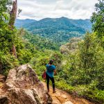 after hiking for a long time and not giving up, at the top of a hill in Taman Negara Malaysia. The photos shows that If you fight for your dreams you can enjoy the views from the top.