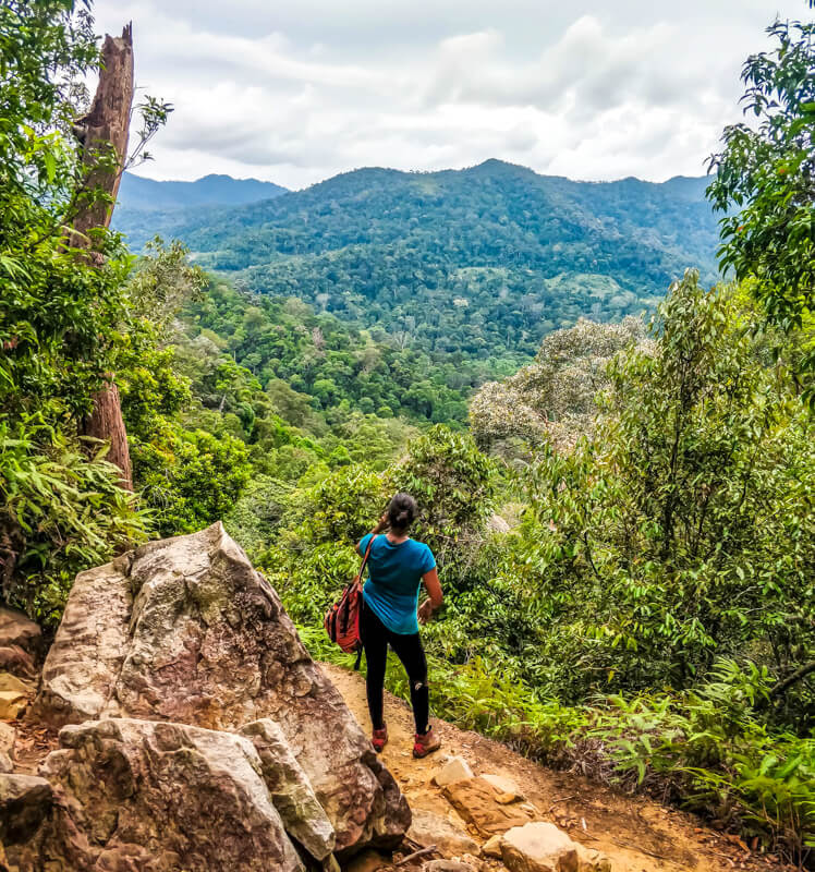 after hiking for a long time and not giving up, at the top of a hill in Taman Negara Malaysia. The photos shows that If you fight for your dreams you can enjoy the views from the top.