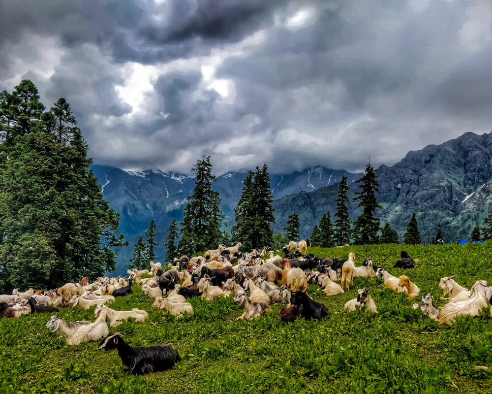 Kalga to Kheerganga via Bunbuni Pass– Offbeat in Parvati Valley