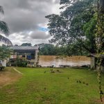 kinabatangan river sukau village homestay sabah borneo