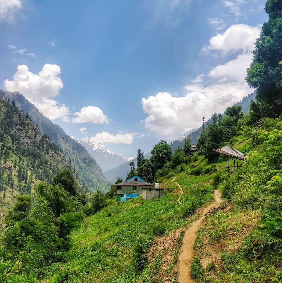 Why I Ran Away From the Gorgeous Shila Village in Parvati Valley