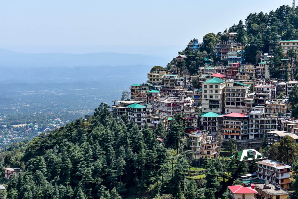 6 Joyful Weeks in Dharamshala – Here’s What I Did