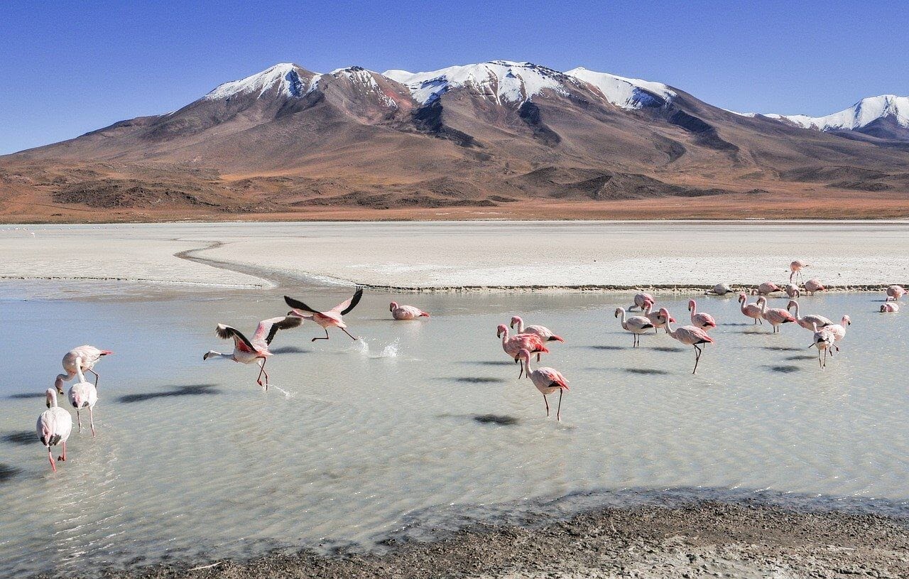 Bolivian Salt Flats Tour – Exploring South America’s Weirdest Landscape