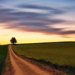 a path going through a pasture showing a journey, a course of change