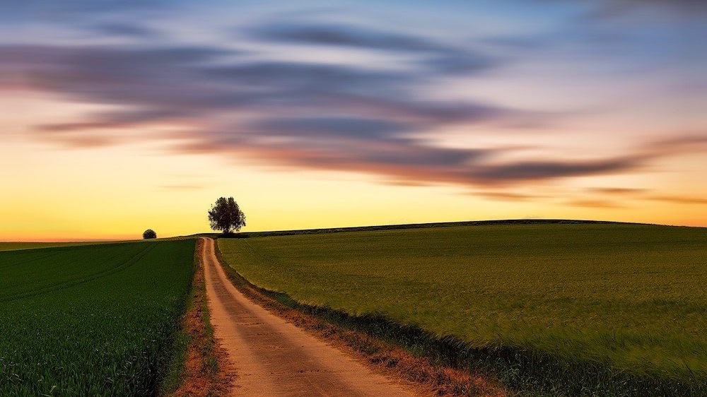 a path going through a pasture showing a journey, a course of change