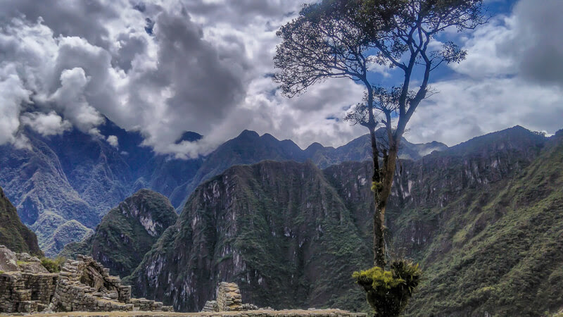 A Peruvian Grandmother’s Act of Kindness