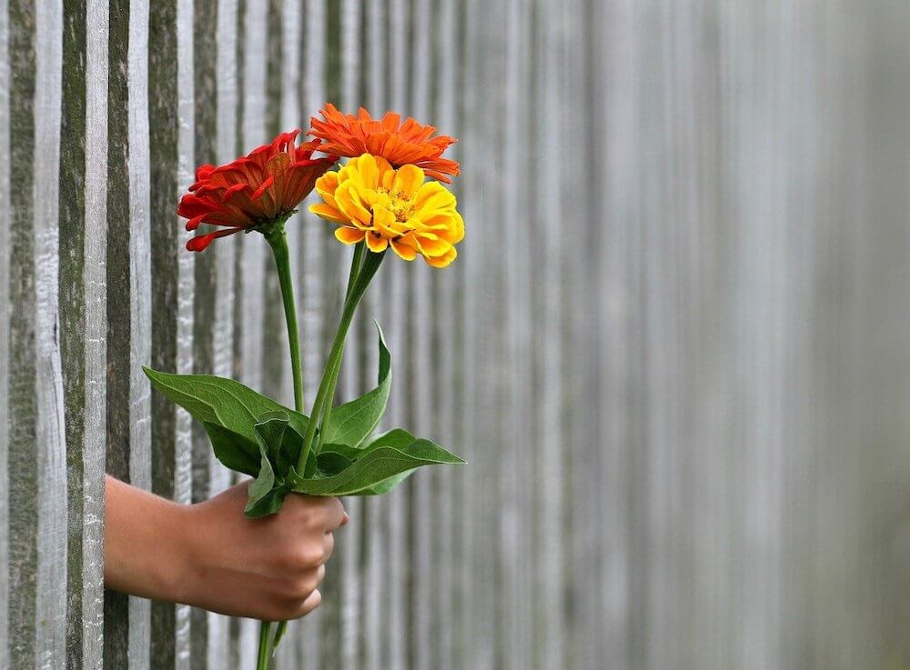 how to make someone happy image by giving flowers