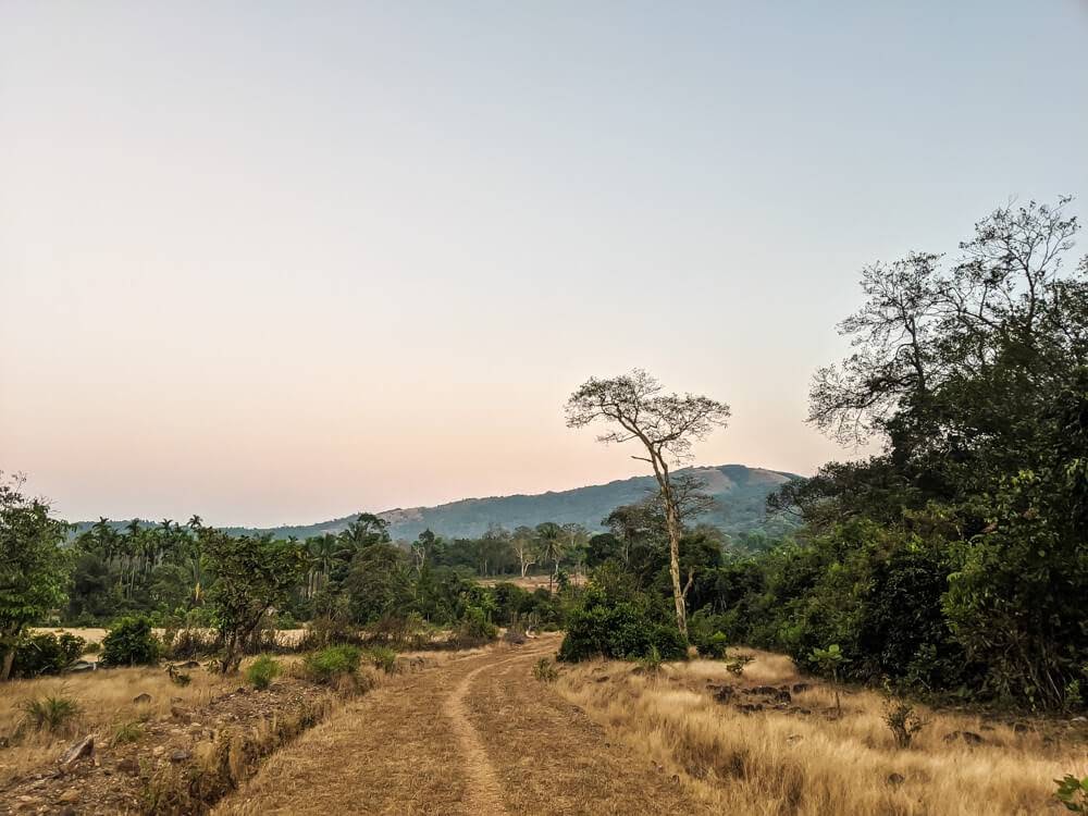 hiking path ochre landscape sharavathi valley near shimoga