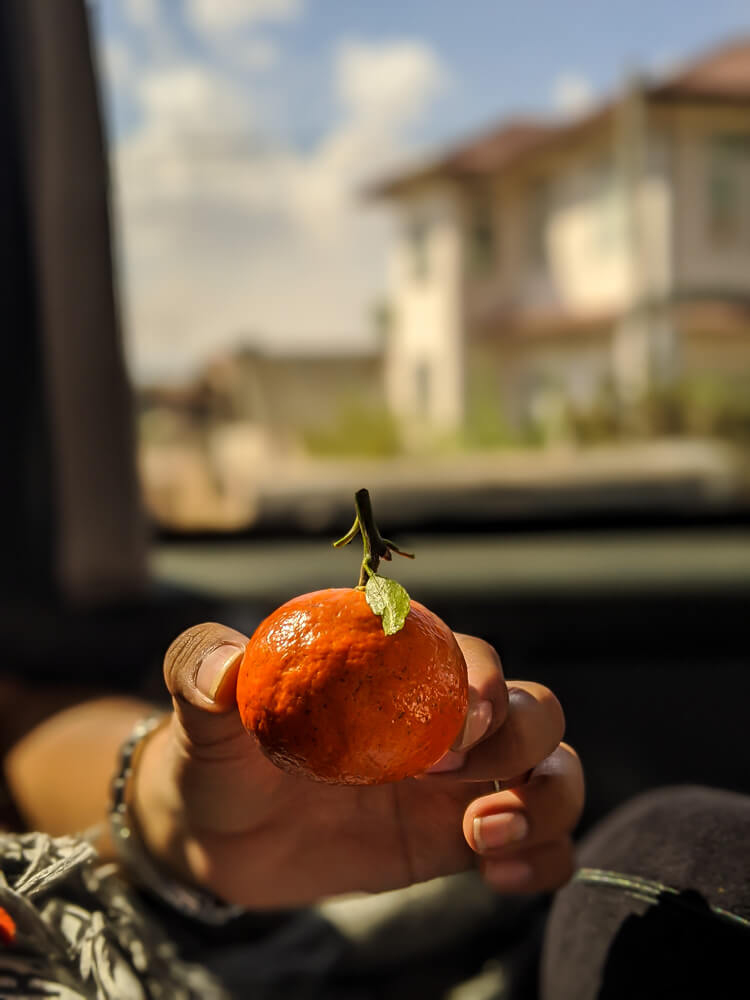 myanmar-local-fruits