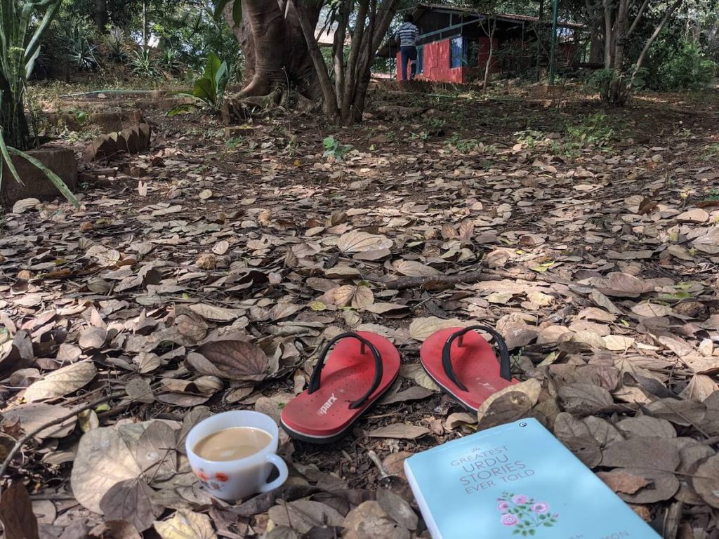 image of a book and slippers and a cup of tea on grass and dry leaves trying to show the author in a reflective mode on the year gone