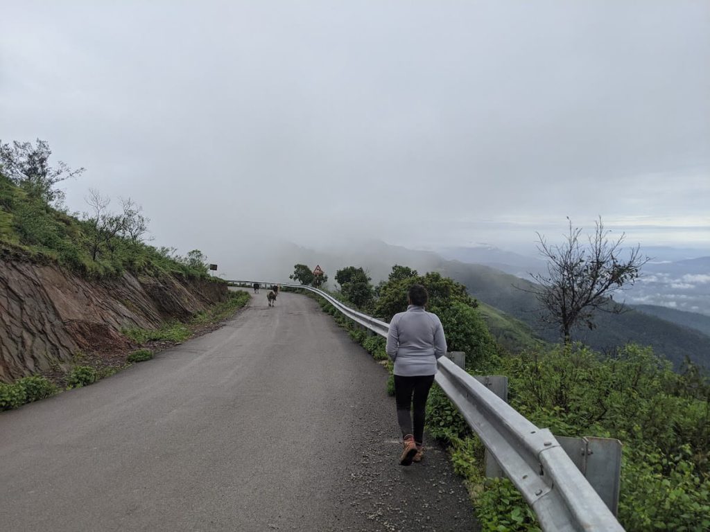 Highs and Lows of the Year 2020 – 2021 Plans Included 4 walking in chikmagalur