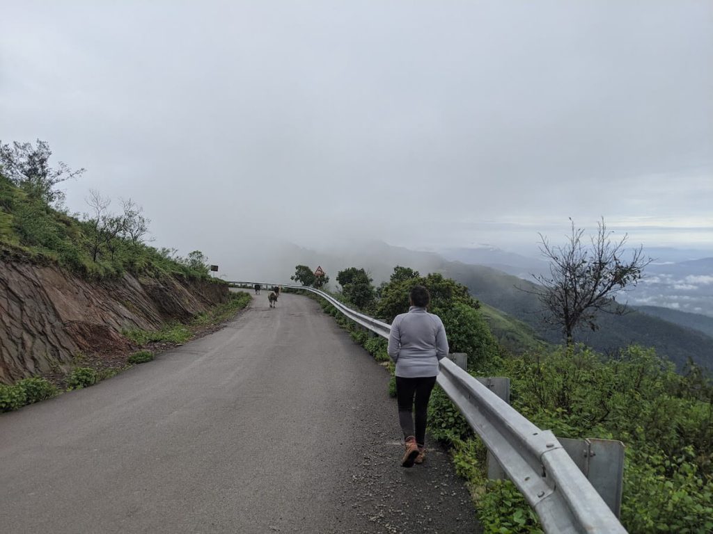 walking in chikmagalur