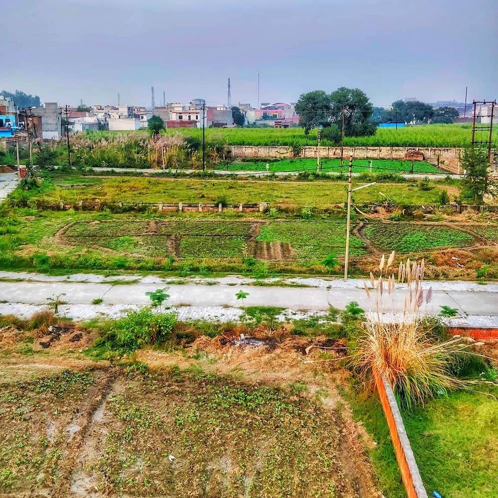 A Definite Guide to Purposeful, Healthy, and Mindful Living 4 admiring-countryside-india-1.jpg