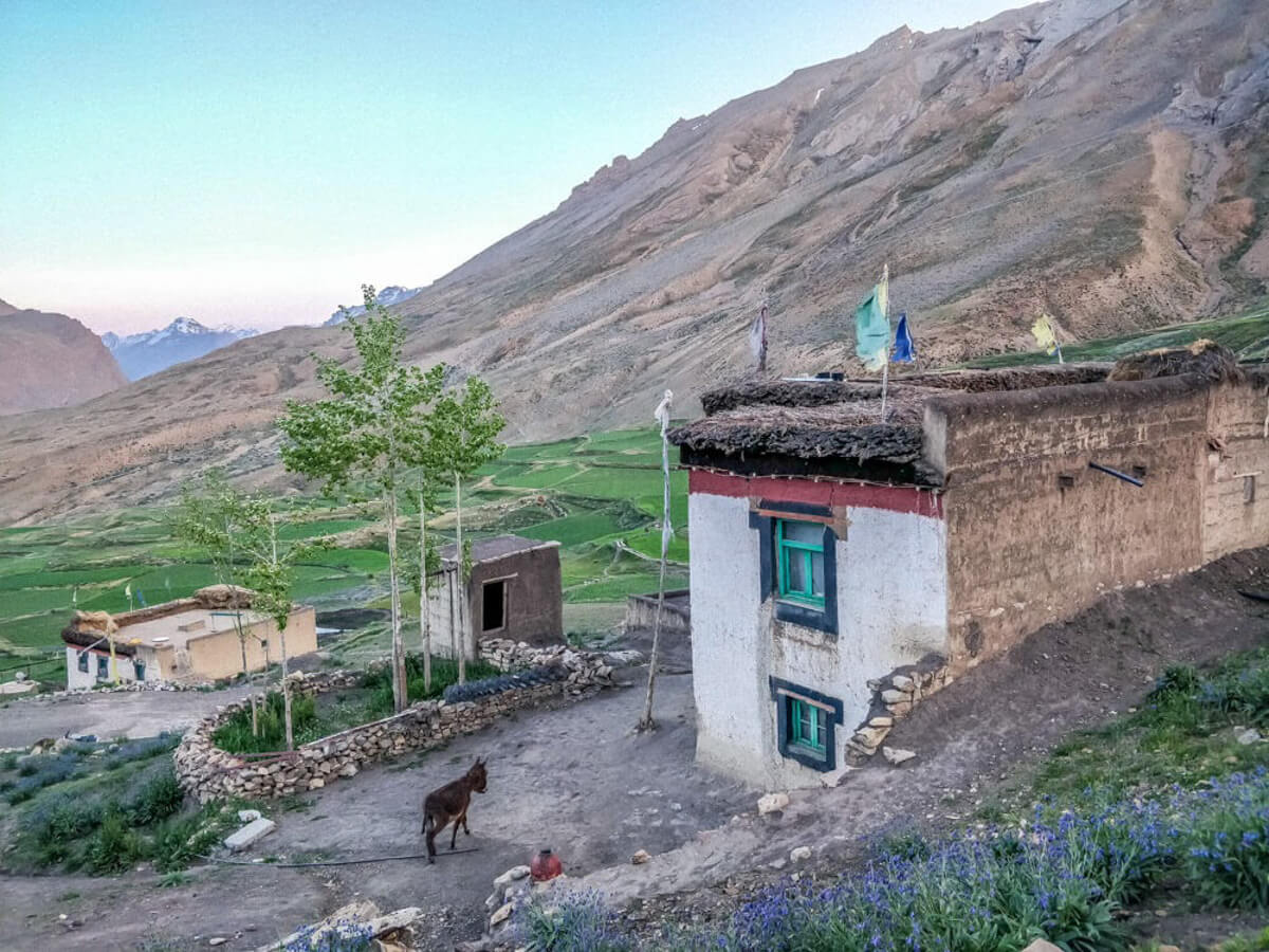 chicham+village+Spiti+valley+himachal+india