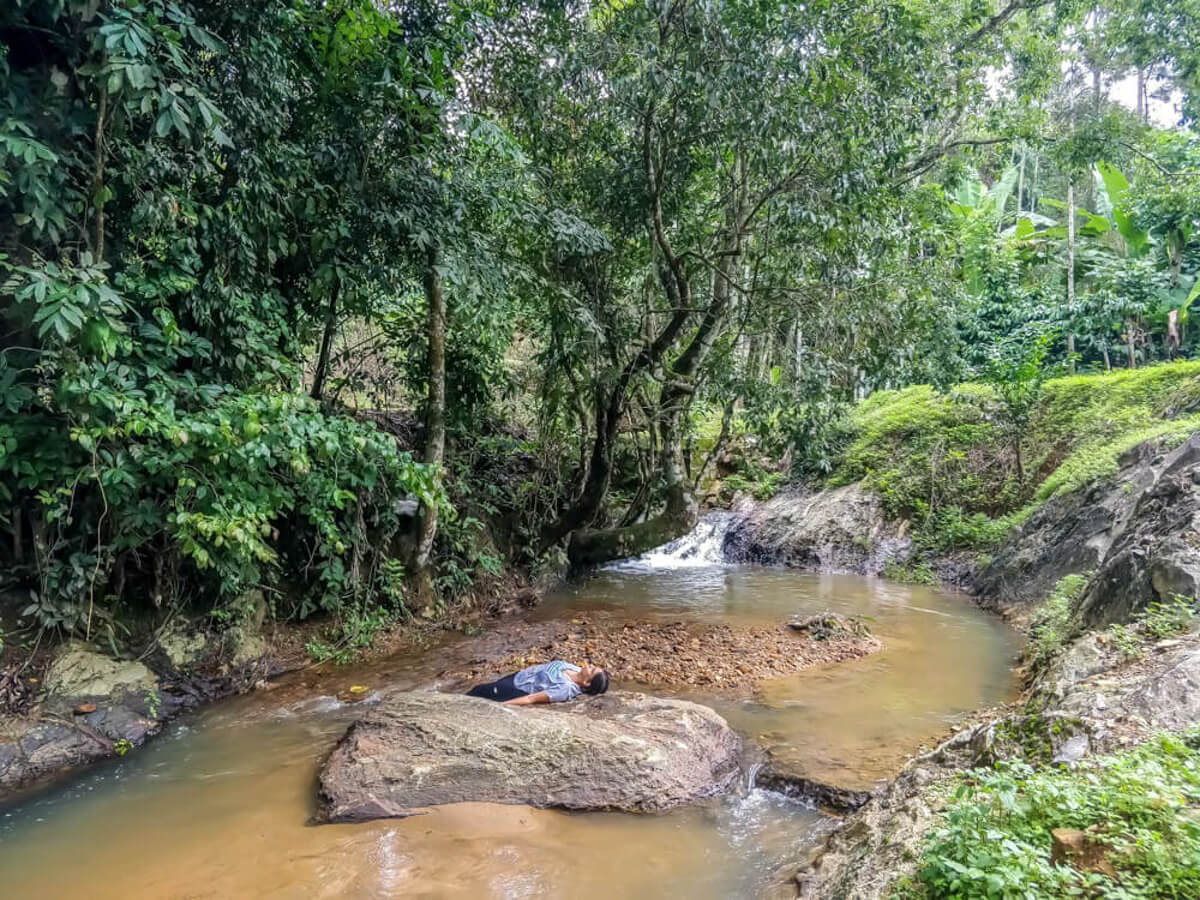 coffee+estate+coorg south india homestays