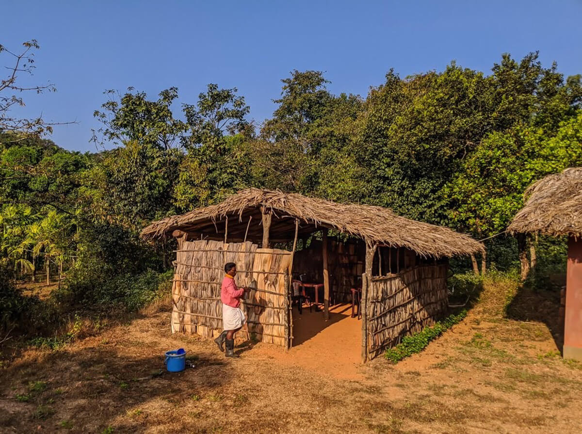 local guide serving food in kattinakaru village near shivamogga in sharavathi valley