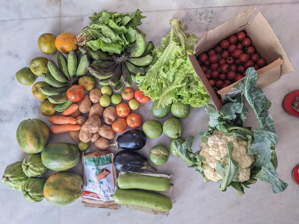 5 Tried and Trusted Online Organic Stores in Bangalore (Farm+Homemade) 6 grocery-shopping-online-in-bangalore.jpg