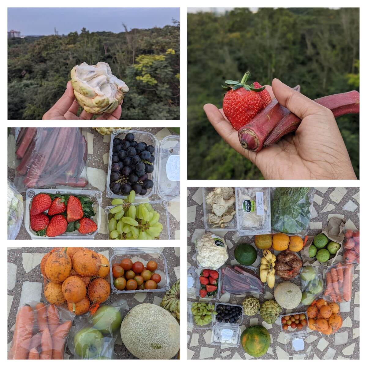 5 Tried and Trusted Online Organic Stores in Bangalore (Farm+Homemade) 4 organic-vegetables-online-bangalore-called-gourmet-garden.jpeg