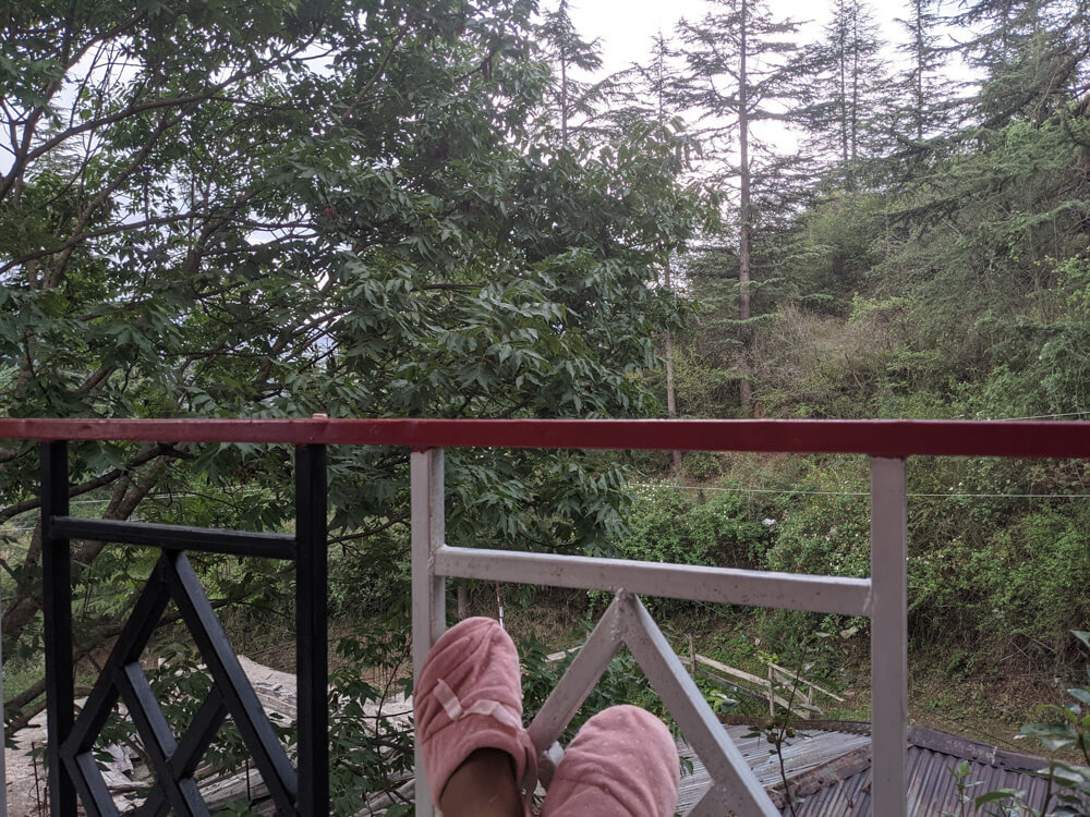 The Pandemic, Start of Our Indefinite Nomadic Journey, Crossing Barricaded Indian State Borders, Collective Helplessness, and Fundraiser Campaigns 2 shimla home