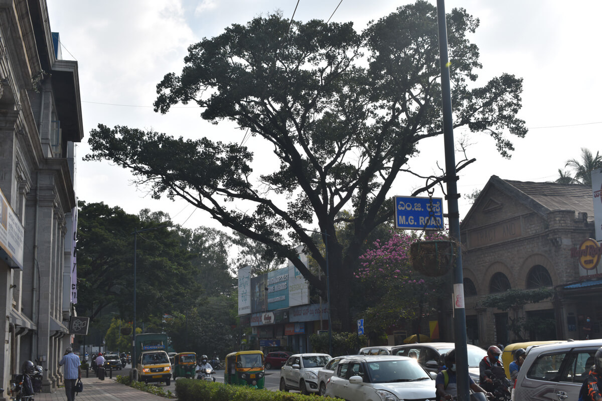 bangalore-mg-road-karnataka.jpg