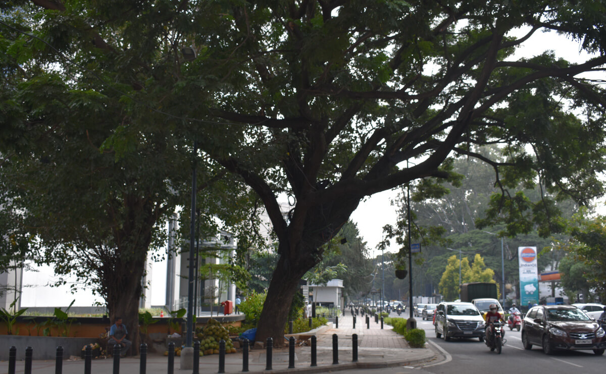 bangalore-roads.jpg