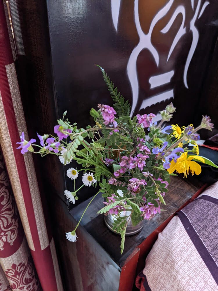 Loitering Around Shakrala (Mehli) Village, Shimla – In Photos 31 bouquet-of-wild-himalayan-flowers-shimla-himachal