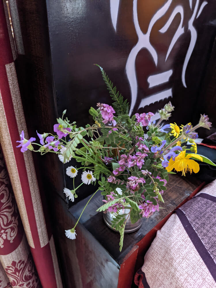 bouquet-of-wild-himalayan-flowers-shimla-himachal