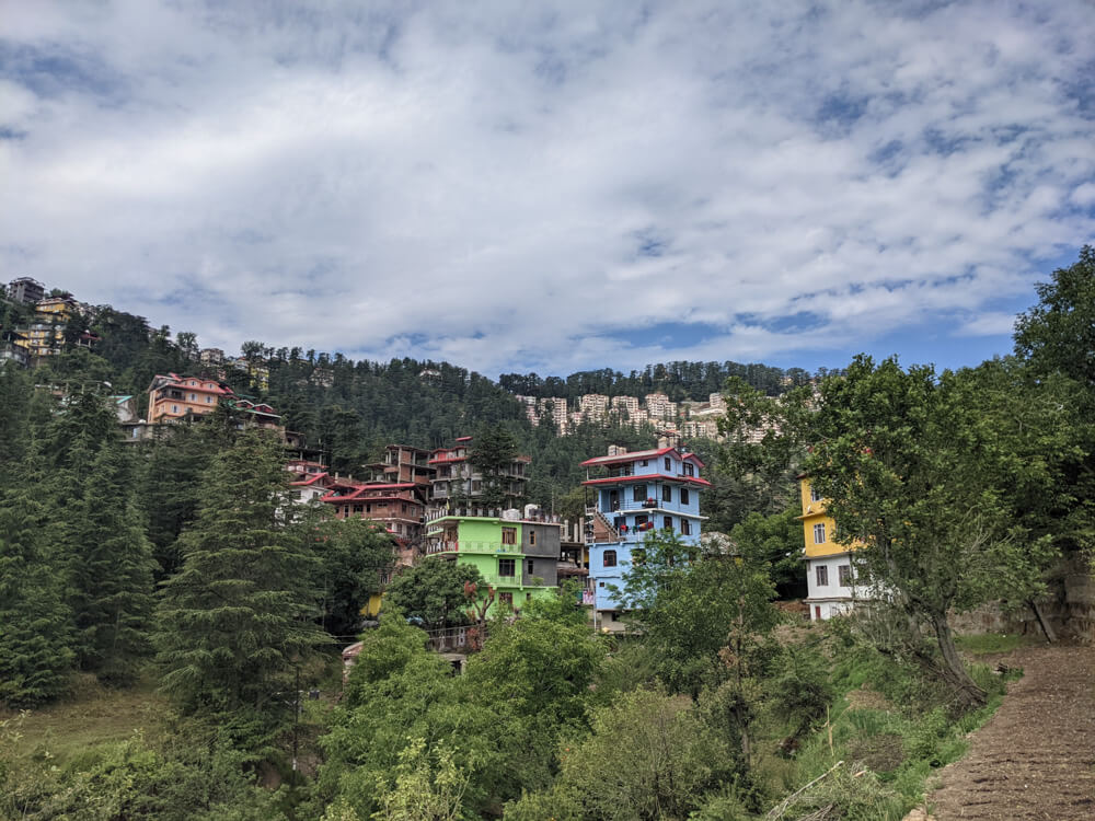 Loitering Around Shakrala (Mehli) Village, Shimla – In Photos 15 green-one-is-the-peace-homestay-mehli-shakrala-shimla-himachal-india-beautiful