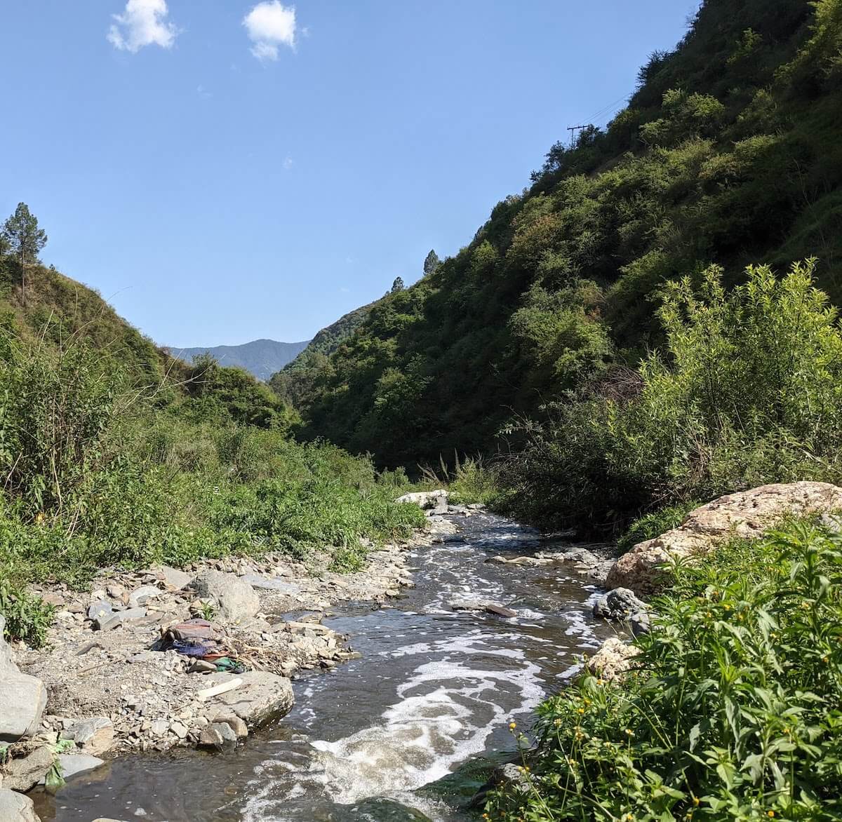 Hiking Down to the Leopard-Infested Gorge in Mehli Shimla 21 hike nallah mehli shimla himachal