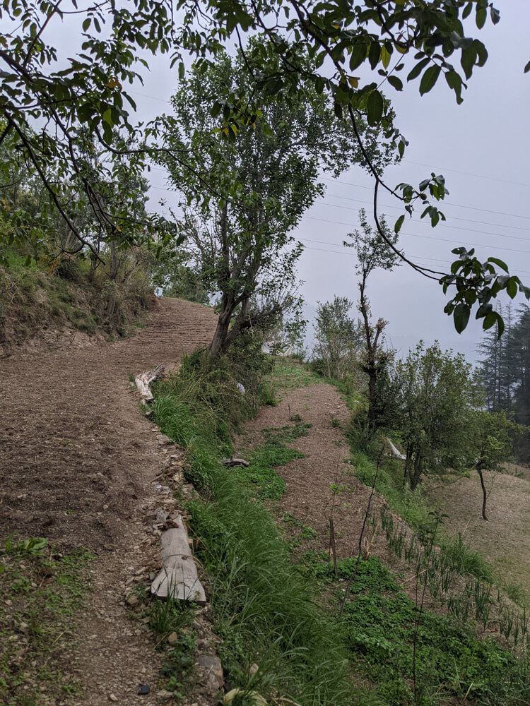 Loitering Around Shakrala (Mehli) Village, Shimla – In Photos 32 how-farming-is-done-on-Himalayan-hills