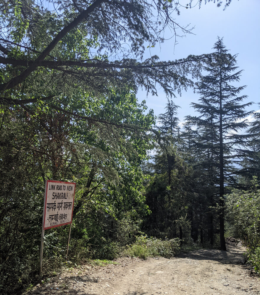 Loitering Around Shakrala (Mehli) Village, Shimla – In Photos 6 link-road-to-shakrala