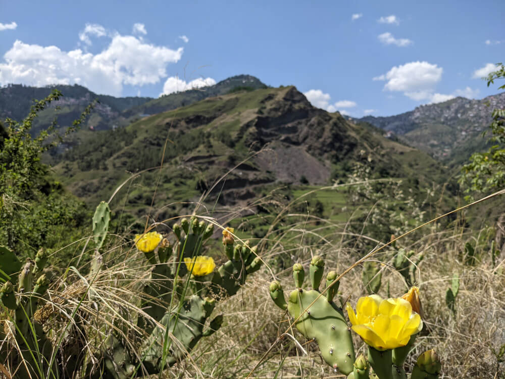 on-our-way-to-the-bottom-of-the-valley