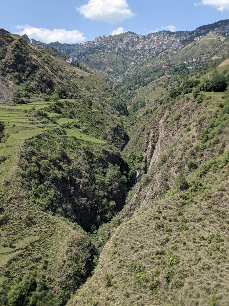 Hiking Down to the Leopard-Infested Gorge in Mehli Shimla 5 the dense Manjauli shimla himachal
