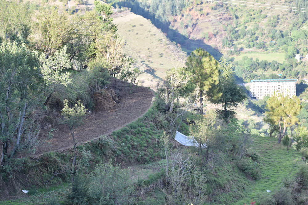 Hiking Down to the Leopard-Infested Gorge in Mehli Shimla 4 the-agricultural-fields-we-crossed-in-mehli-shakrala-shimla