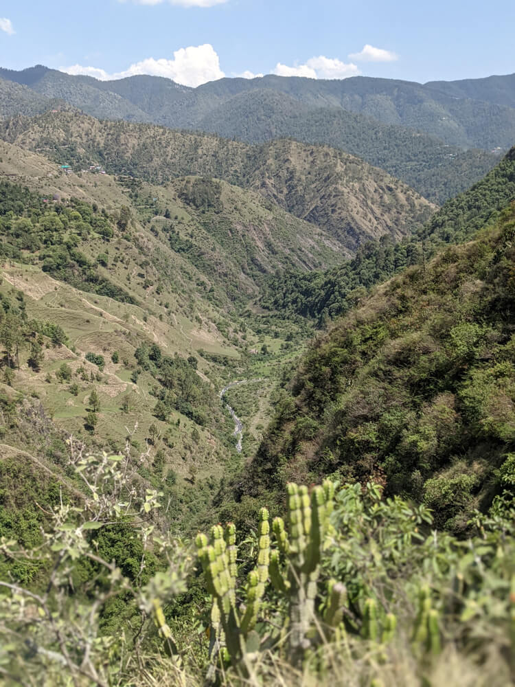 Hiking Down to the Leopard-Infested Gorge in Mehli Shimla 22 the khad below