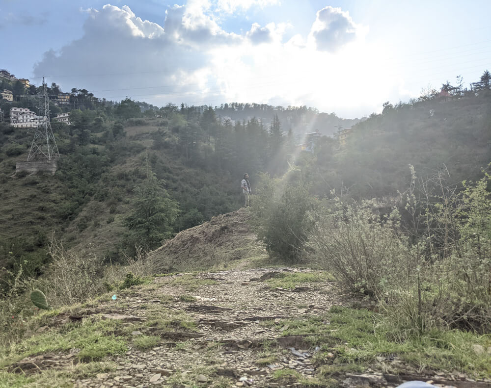 Hiking Down to the Leopard-Infested Gorge in Mehli Shimla 12 the-mound-mehli-shimla-himachal