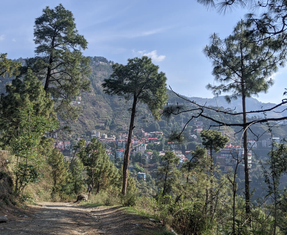 Loitering Around Shakrala (Mehli) Village, Shimla – In Photos 9 the-road