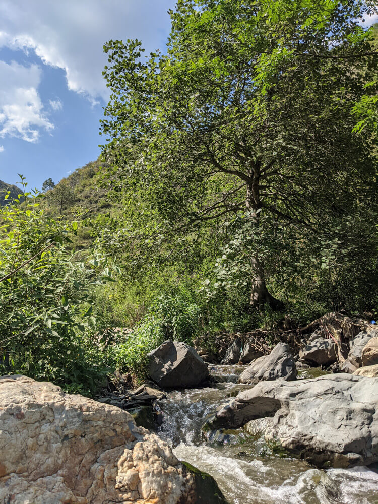 the spot we had landed at while hiking down to the khad mehli village district Shimla himachal