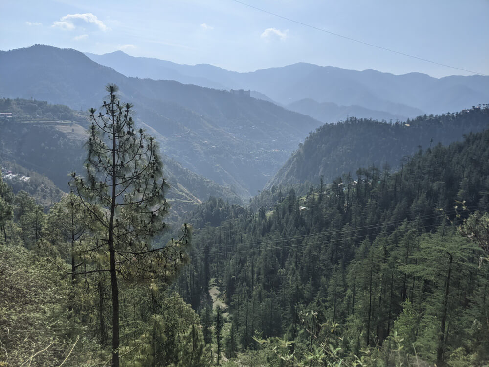 Loitering Around Shakrala (Mehli) Village, Shimla – In Photos 46 the-valley-near-shakrala