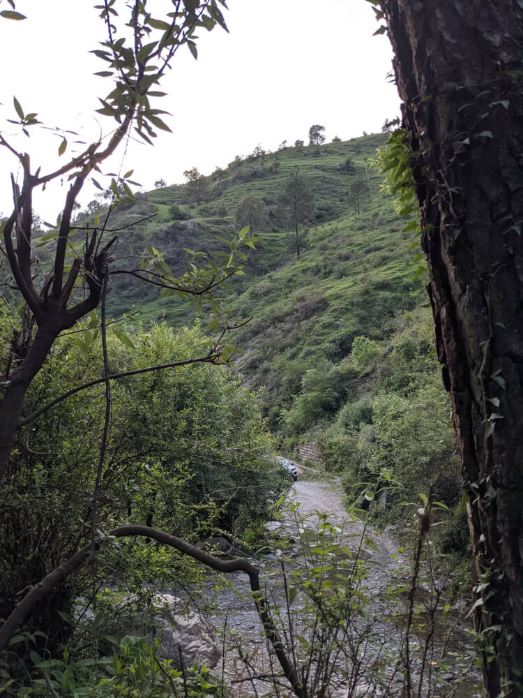 Hiking Down to the Leopard-Infested Gorge in Mehli Shimla 2 tiny view of our car from my work spot