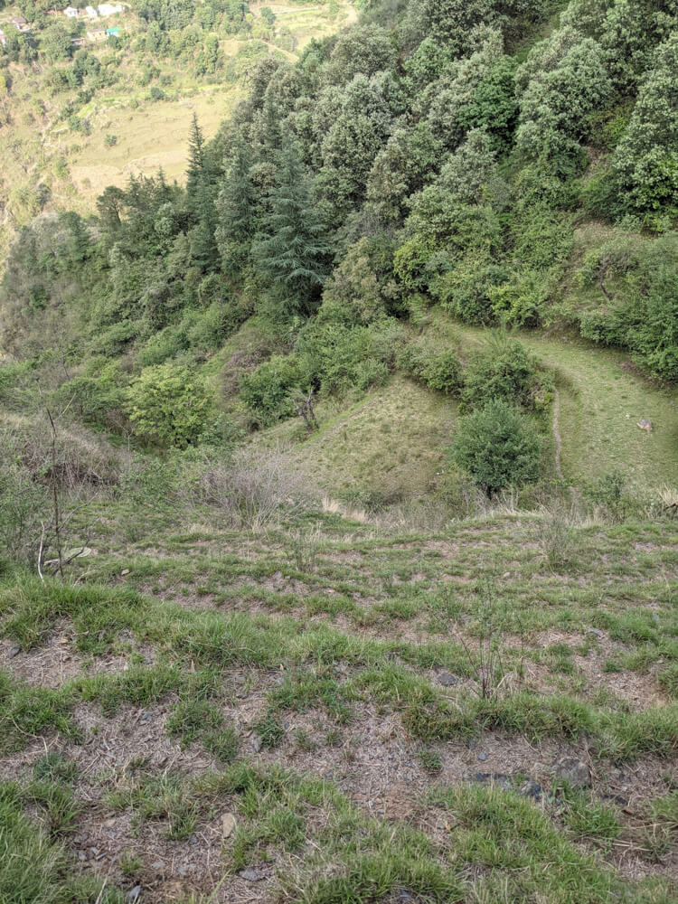 Loitering Around Shakrala (Mehli) Village, Shimla – In Photos 42 we-walk-everywhere-and-anywhere