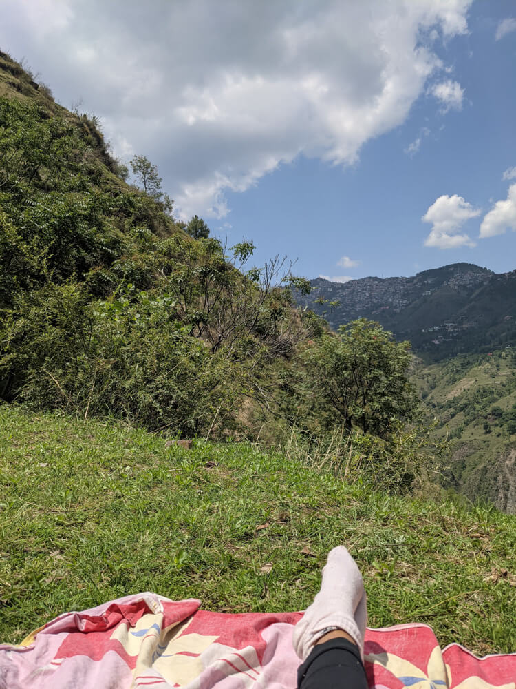 working from a pasture in mehli village