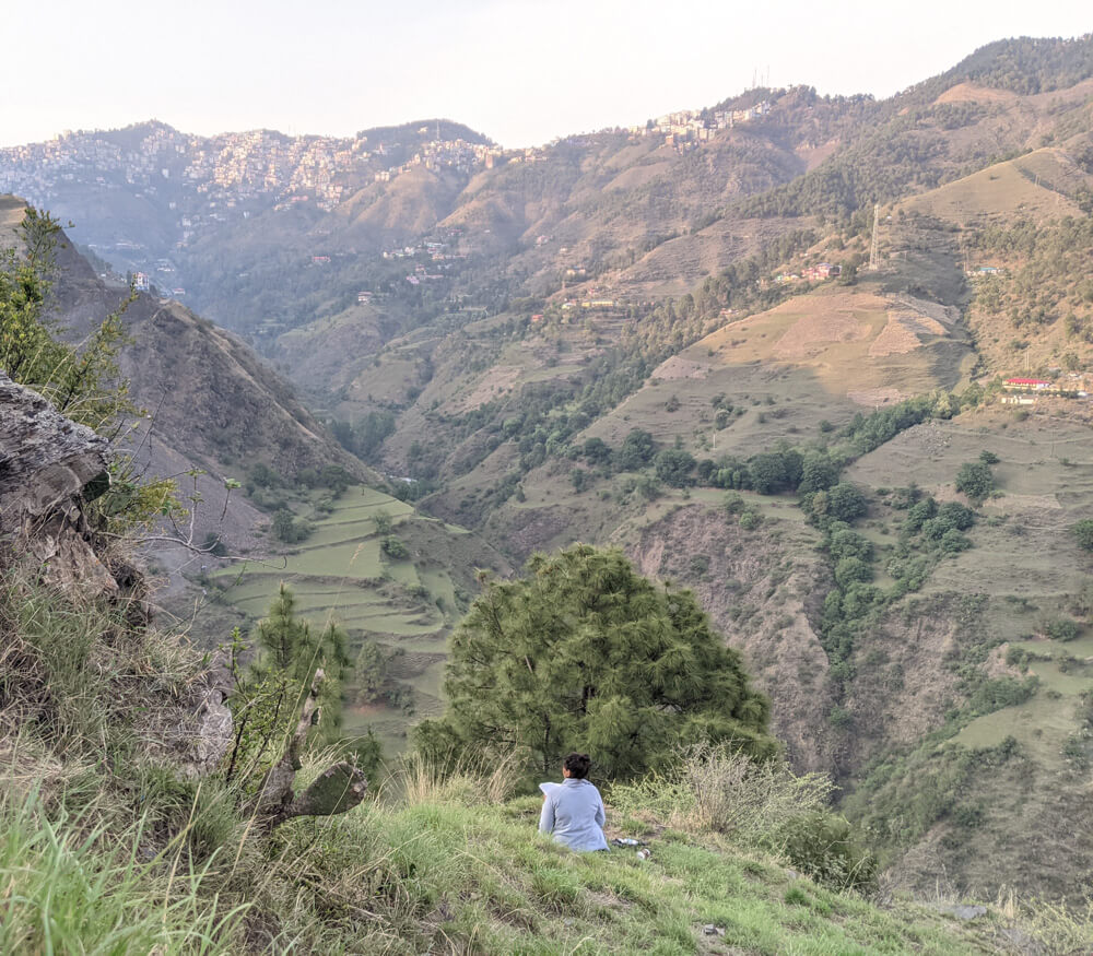On My Canvas Turns Four – Big News and Five Lessons Inside 22 writing outside in the mehli forest himachal pradesh