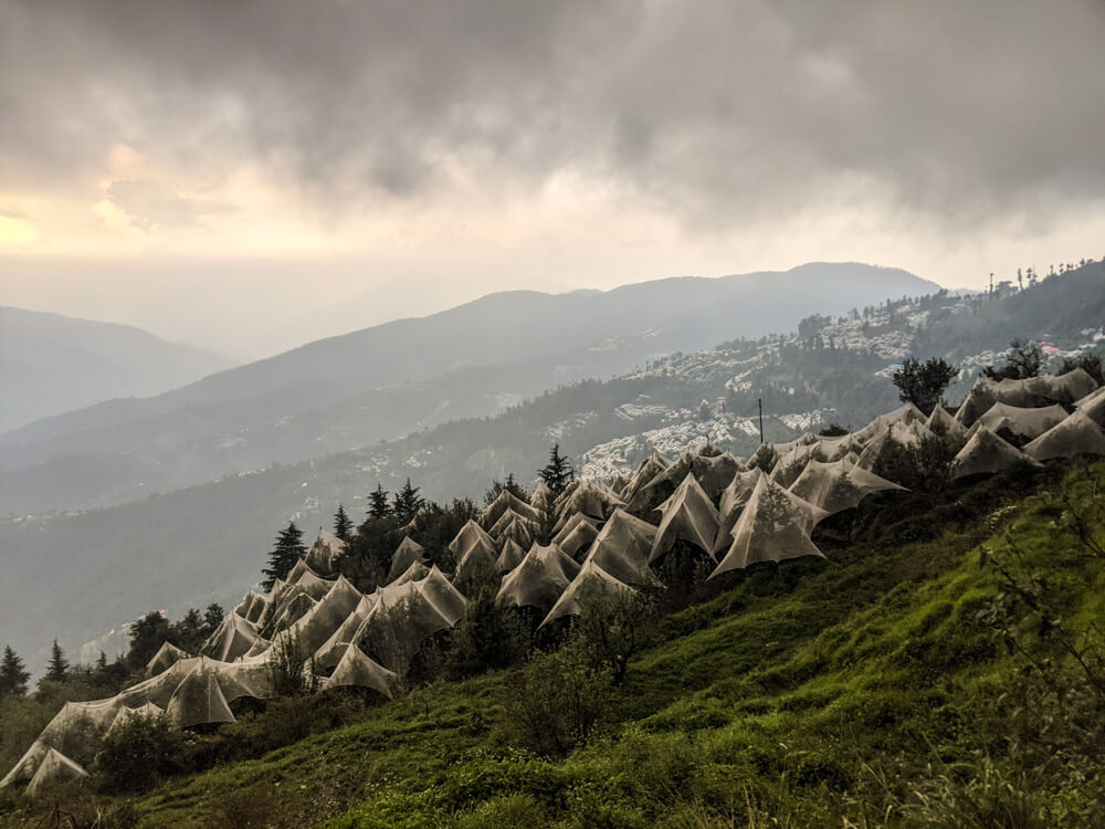 Why You Can Do Better Than The Apple Village of Fagu, Himachal Pradesh 2 approaching fagu himachal pradesh
