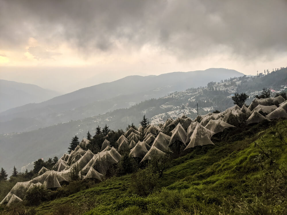 approaching fagu himachal pradesh