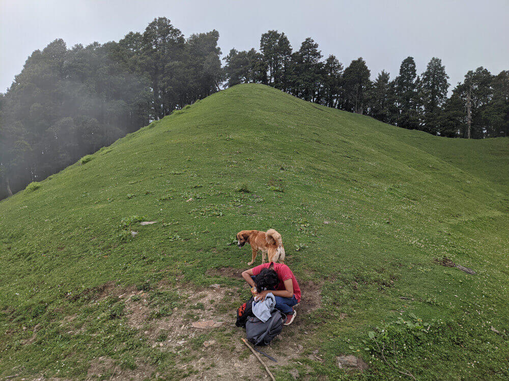 arriving out of the shikari devi sanctuary