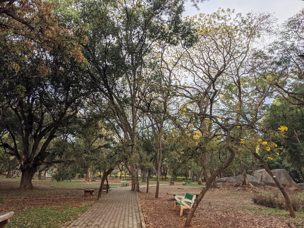 benches cubbon park